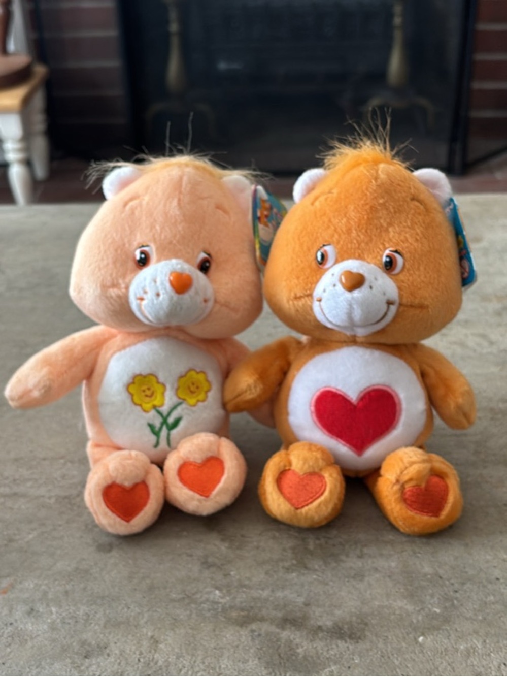 Vintage Care Bears Friend Bear and Tenderheart Bear Plush Set from 2002 & 2004